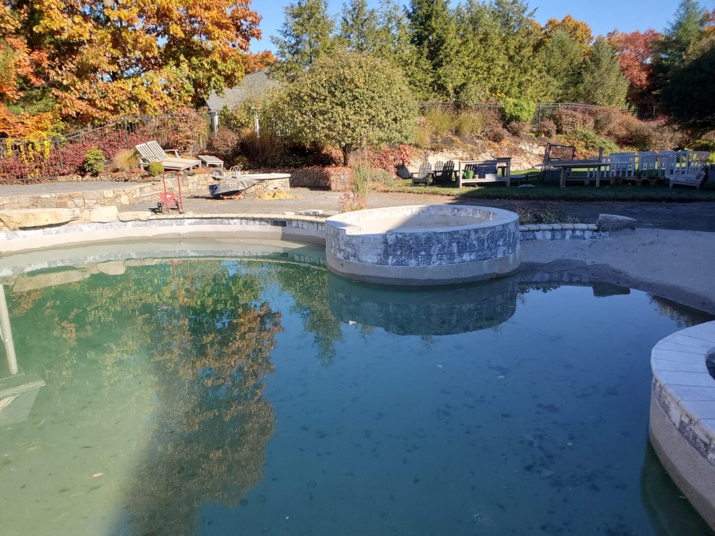 A pool with trees in the background and some leaves on it