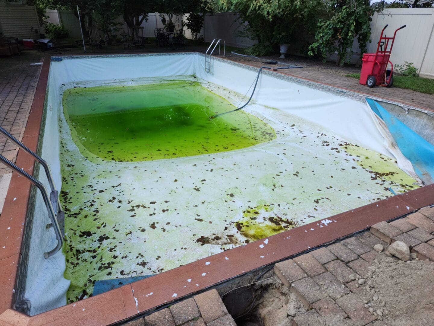 A pool that has been cleaned with green algae.